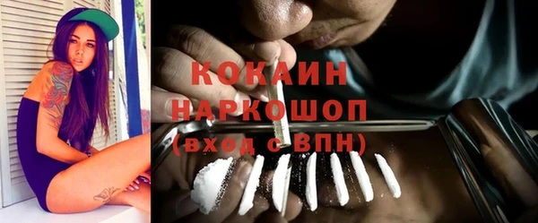 метадон Богданович