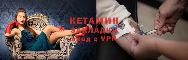 стаф Гатчина