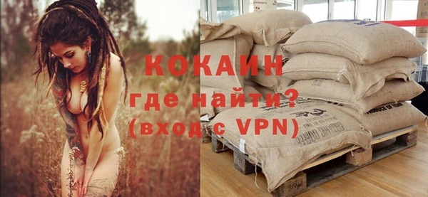 метадон Богданович