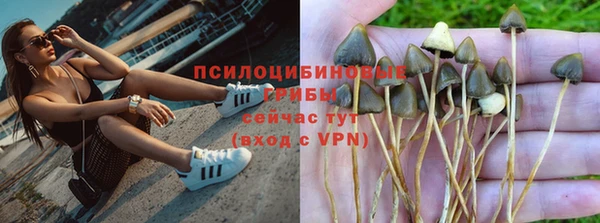 метадон Богданович