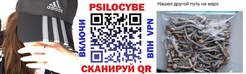 hydra сайт  Бор  Псилоцибиновые грибы MAGIC MUSHROOMS 